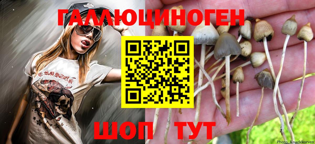 Псилоцибиновые грибы мицелий  наркотики  Зеленокумск  Галлюциногенные грибы мицелий 