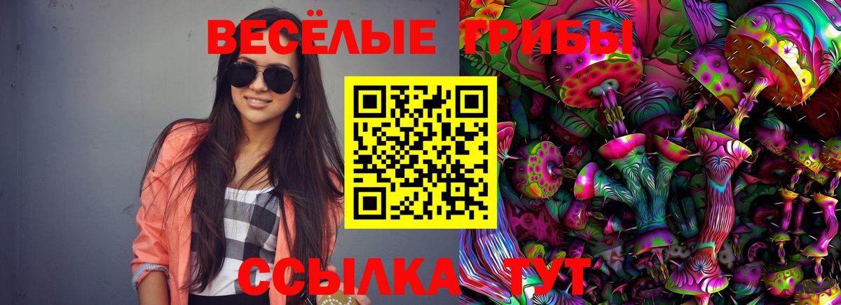 NBOMe  Метамфетамин  Мефедрон  Molly  Ляпка  Зеленокумск  Гашиш  CBD масло  Вход с VPN  Кокаин  Марихуана  КОКАИН 