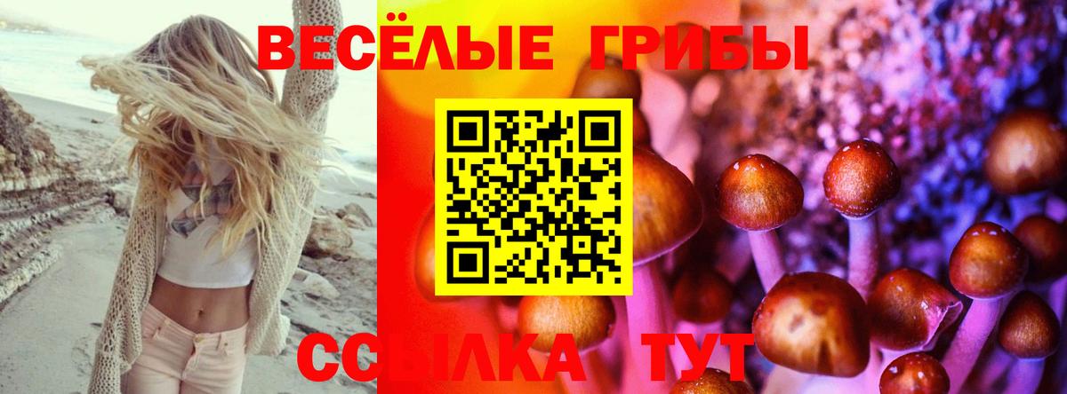 Галлюциногенные грибы Psilocybine cubensis  цена   Зеленокумск  Вход с VPN 