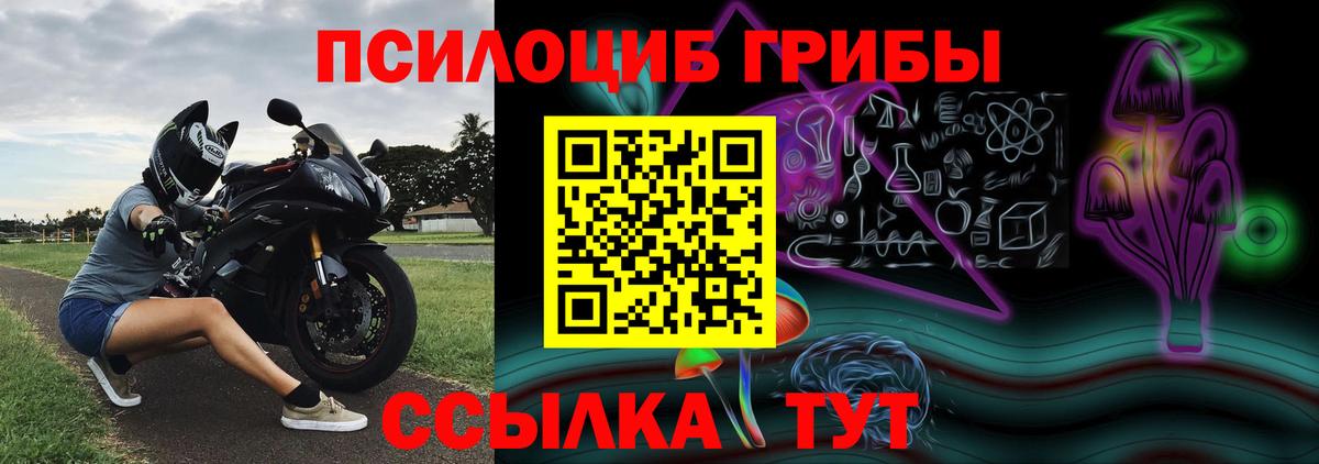 Галлюциногенные грибы Cubensis Зеленокумск